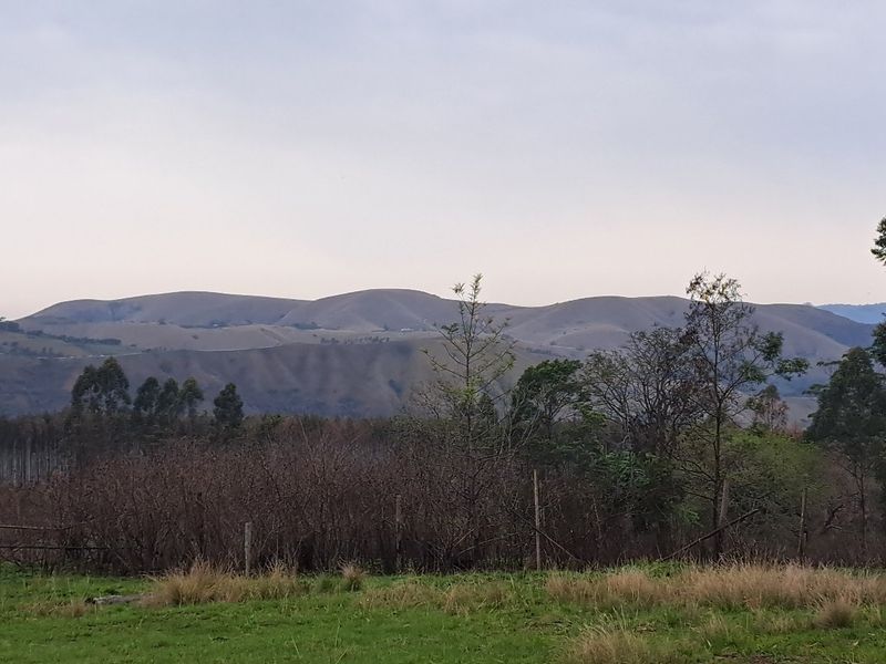 40ha Agricultural Land Opportunity – Highflats, Ixopo (KZN) - Photo 2