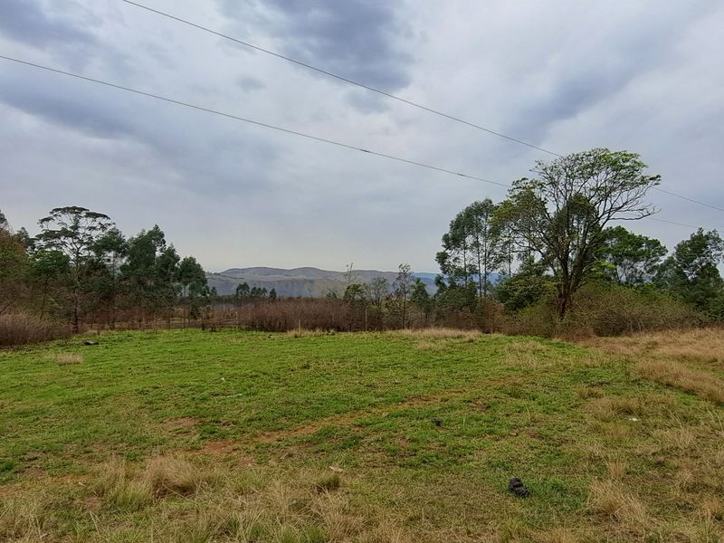 40ha Agricultural Land Opportunity – Highflats, Ixopo (KZN) - Photo 1