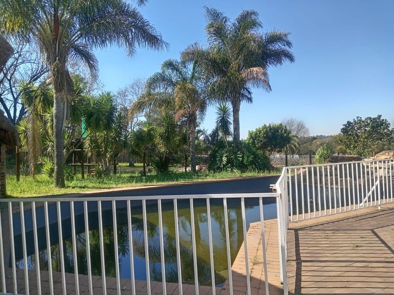 Outdoor pool area featuring a swimming pool with safety fencing and surrounding brick paving, set within a garden with mature palm trees.