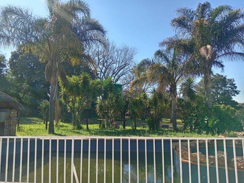 Outdoor pool area featuring a safety fence, water tank, and established garden surroundings, currently requiring maintenance to the pool water and fencing.
