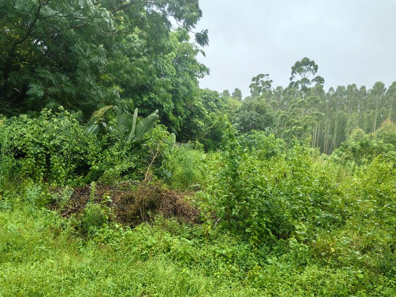 0 Bed Vacant Land in Kwambonambi for Sale - Photo 4