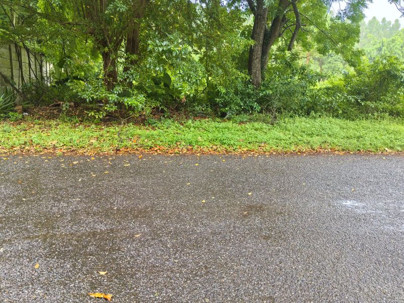 0 Bed Vacant Land in Kwambonambi for Sale - Photo 6