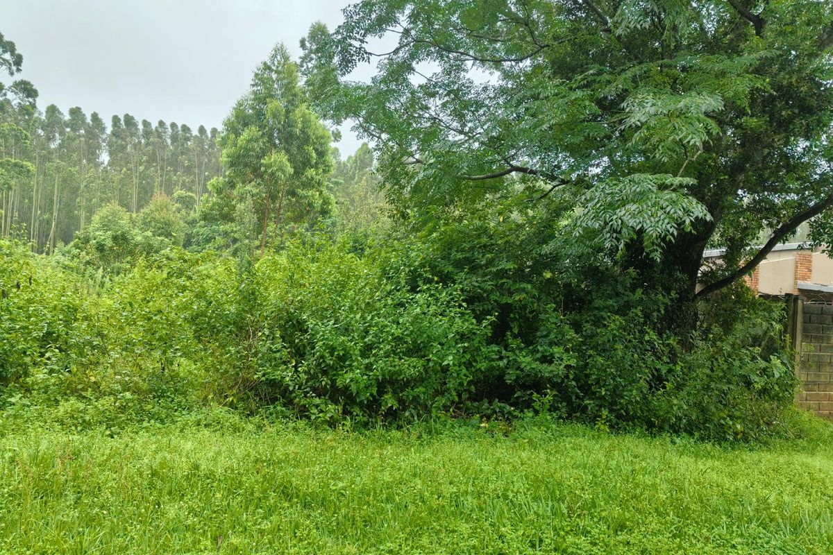 0 Bed Vacant Land in Kwambonambi for Sale - Photo 3