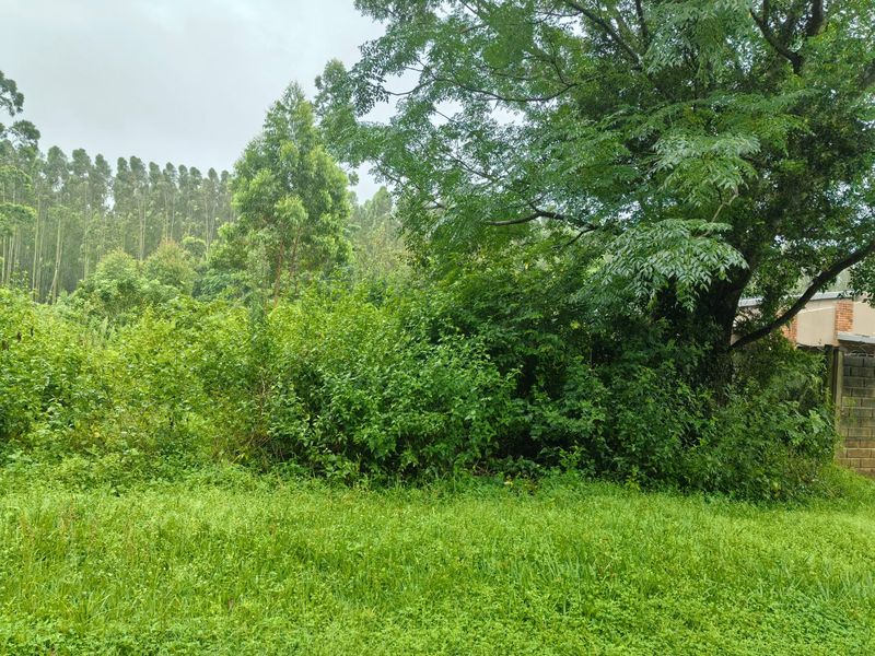 0 Bed Vacant Land in Kwambonambi for Sale - Photo 3