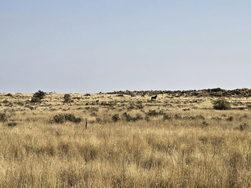 Livestock farm for sale at Kenhardt, Boesmanland.  - Photo 6