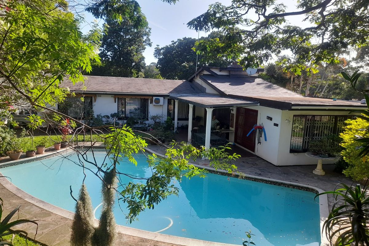 Rear view of the property featuring a swimming pool, a covered patio area, and established garden surroundings.
