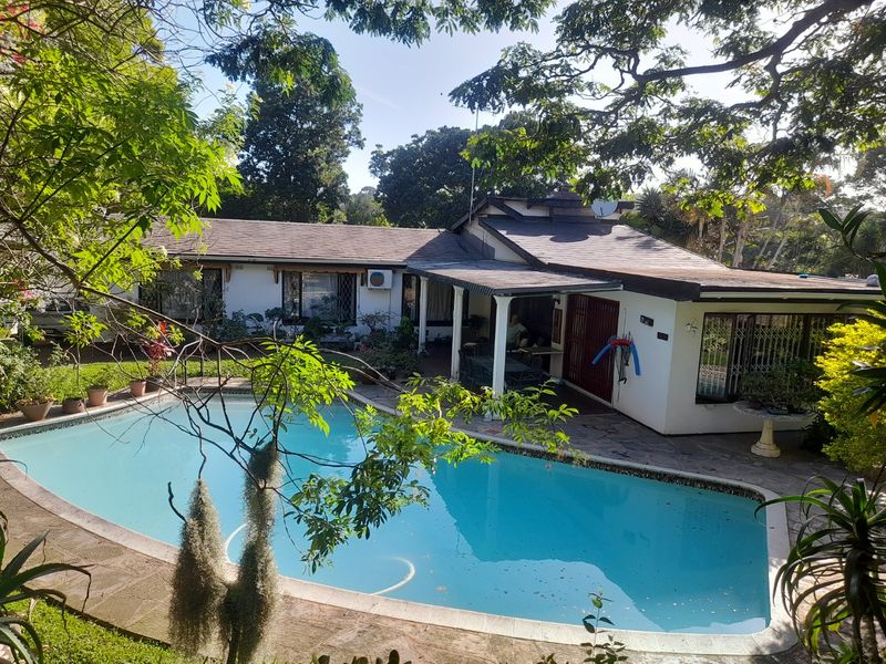 Rear view of the property featuring a swimming pool, a covered patio area, and established garden surroundings.