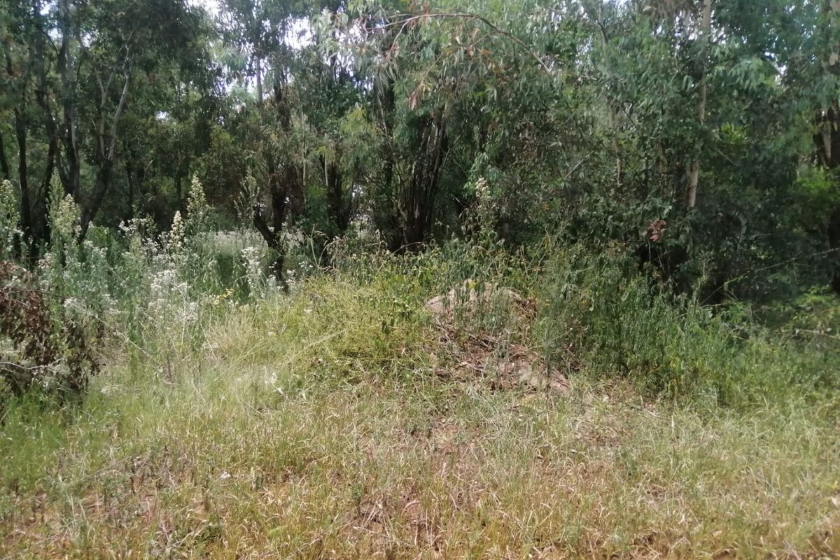 Your stake in Ohenimuri - Photo 2