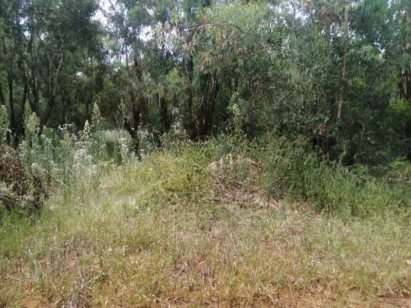 Your stake in Ohenimuri - Photo 2