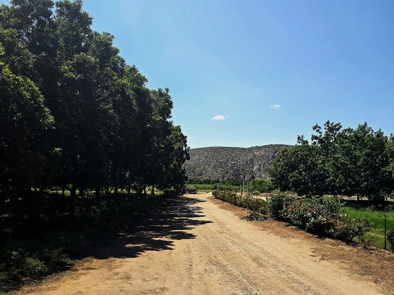 Versatile Irrigation Farm Along the Orange River,  Boegoeberg, Groblershoop - Photo 8