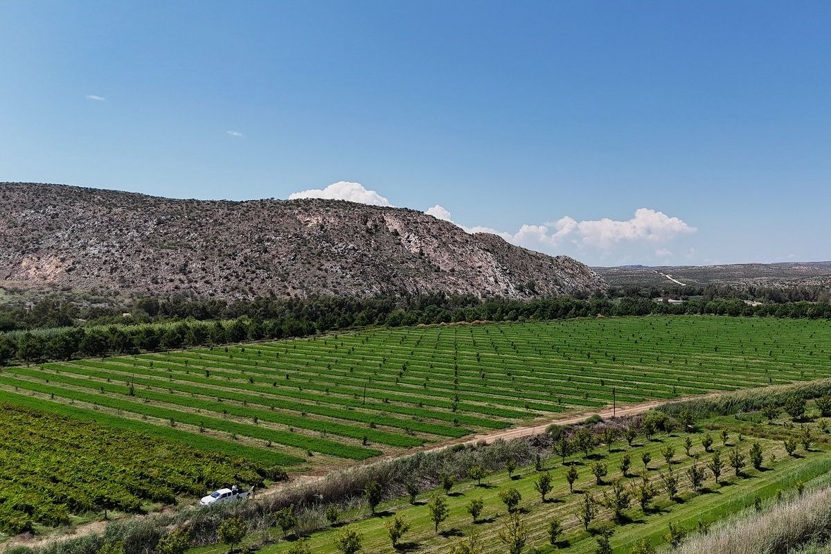 Versatile Irrigation Farm Along the Orange River,  Boegoeberg, Groblershoop - Photo 5