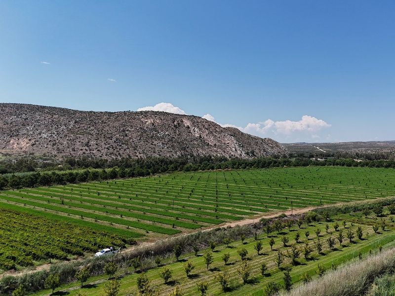 Versatile Irrigation Farm Along the Orange River,  Boegoeberg, Groblershoop - Photo 5