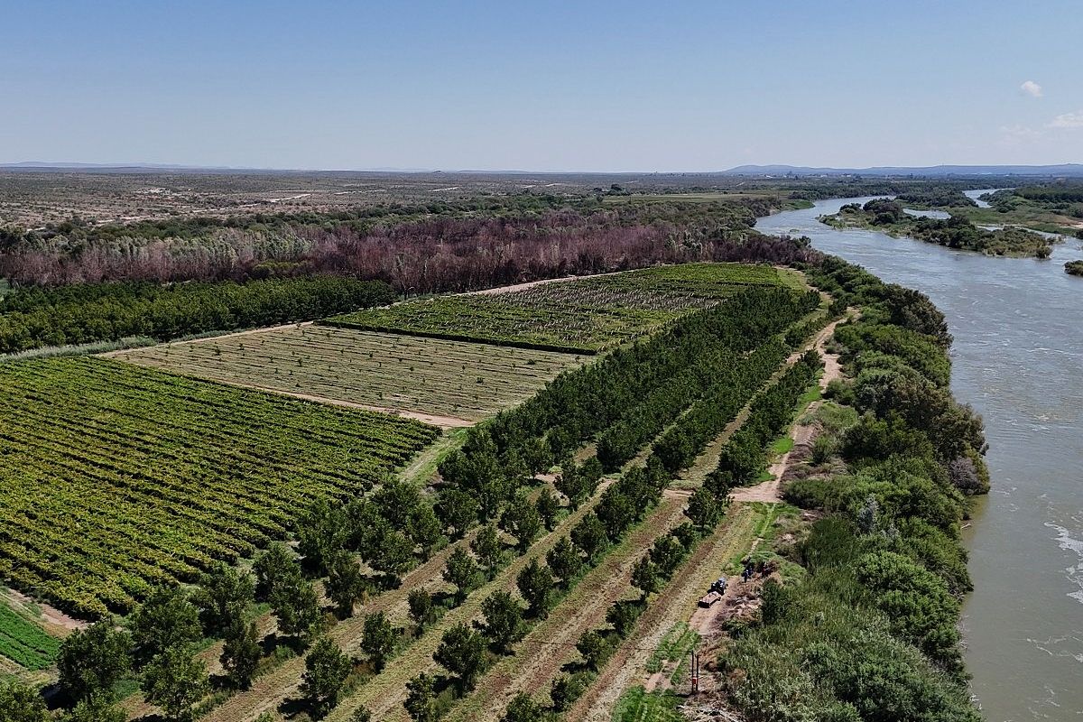 Versatile Irrigation Farm Along the Orange River,  Boegoeberg, Groblershoop - Photo 3