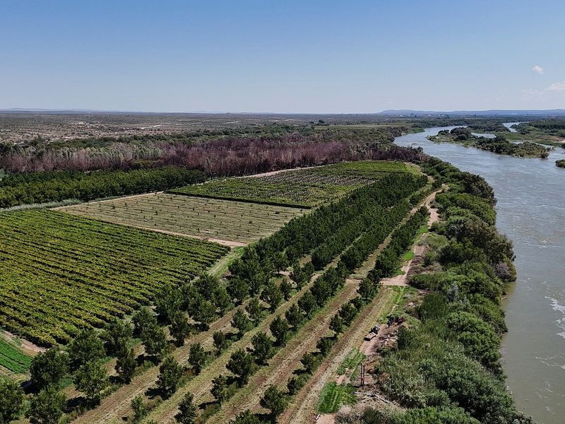 Versatile Irrigation Farm Along the Orange River,  Boegoeberg, Groblershoop - Photo 3