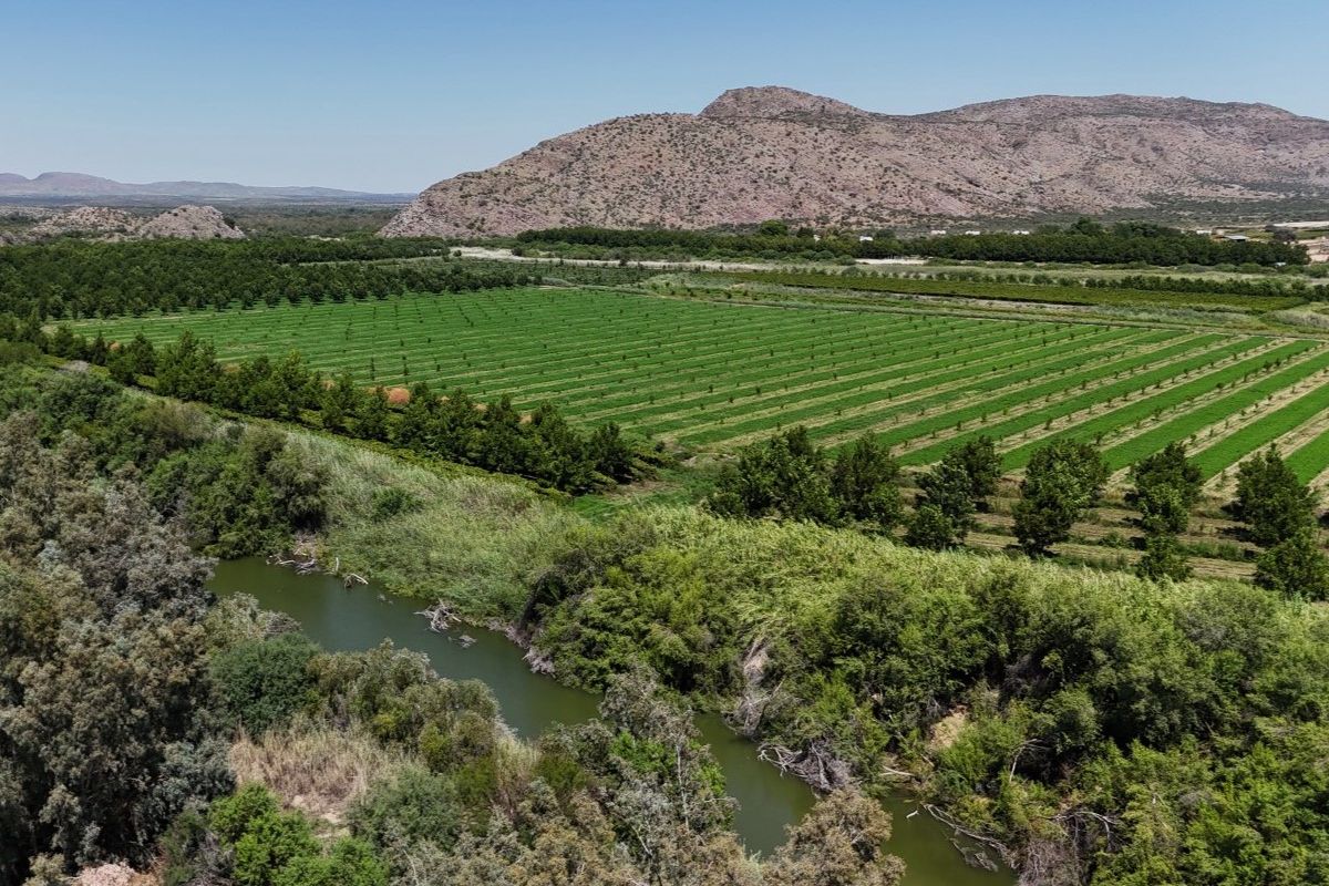 Versatile Irrigation Farm Along the Orange River,  Boegoeberg, Groblershoop - Photo 4