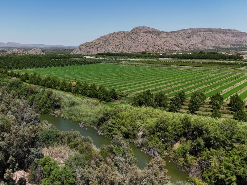 Versatile Irrigation Farm Along the Orange River,  Boegoeberg, Groblershoop - Photo 4