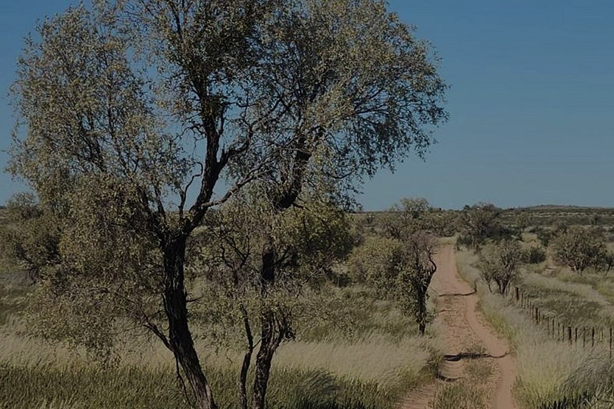 Incredible Opportunity: Exceptional West Kalahari Grazing Farm for Sale - Photo 4