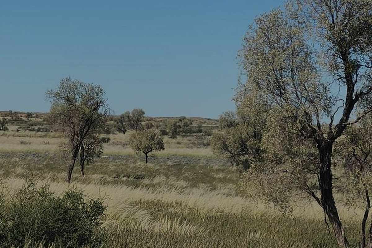 Incredible Opportunity: Exceptional West Kalahari Grazing Farm for Sale - Photo 5