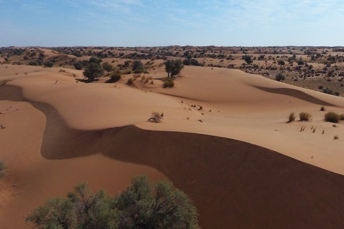 An aerial view of the expansive desert landscape and sand dunes characteristic of the farm property.