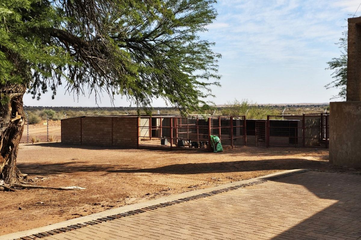 An outdoor farm area featuring livestock enclosures with metal fencing and brick walls, adjacent to a paved walkway and large shade tree.