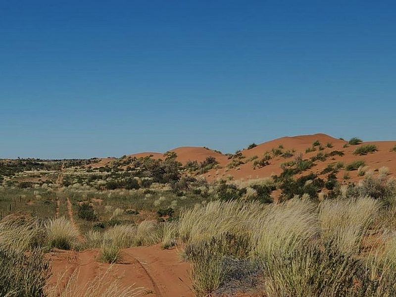 A scenic view of the expansive farm landscape featuring natural red sand dunes and native vegetation under a clear blue sky.