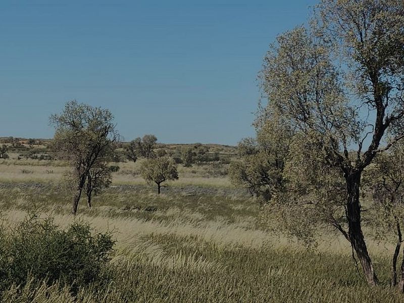A scenic view of the expansive natural landscape and native vegetation characteristic of the farm property.