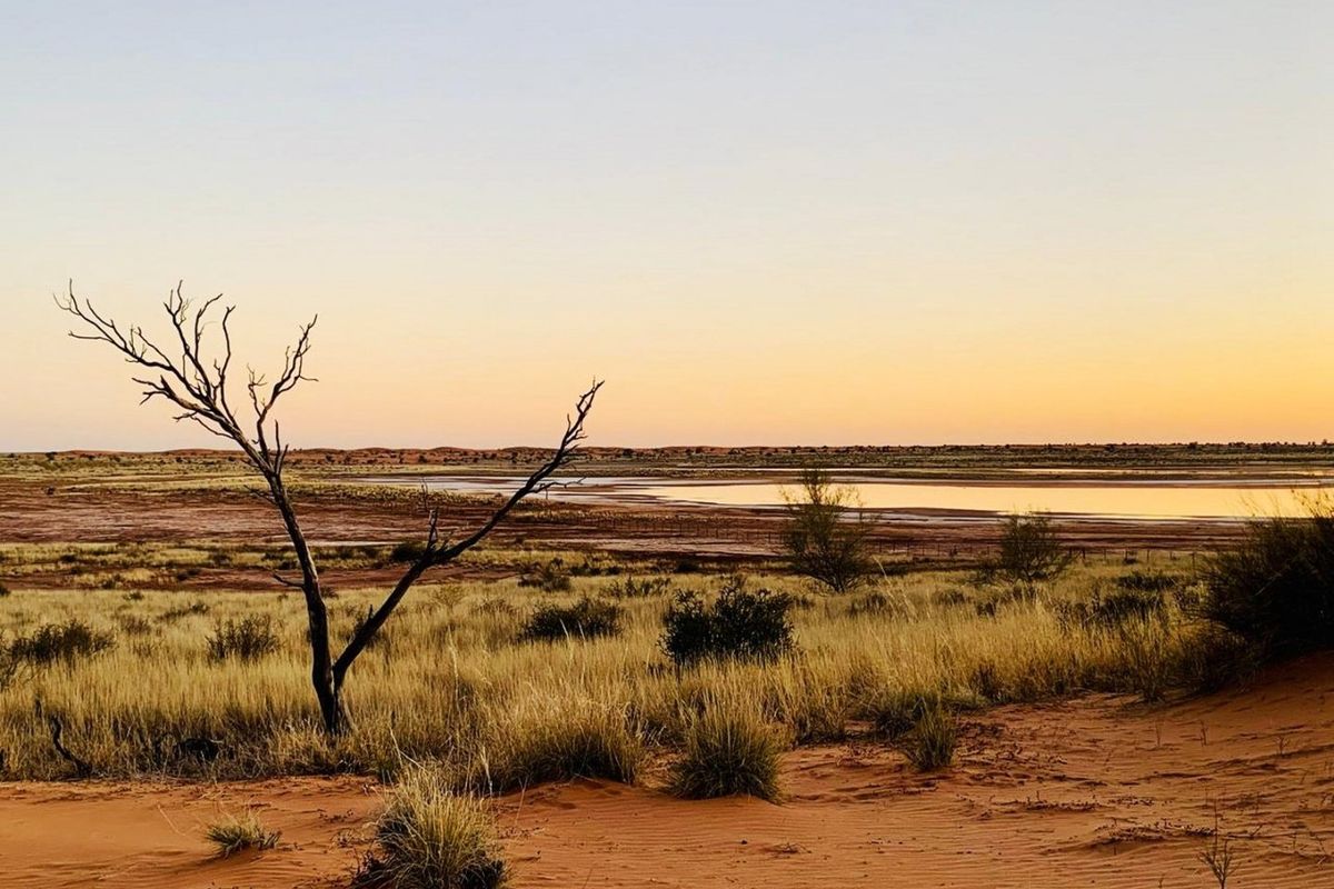 A scenic view of the expansive rural landscape featuring natural vegetation, sandy terrain, and a distant water body at sunset.