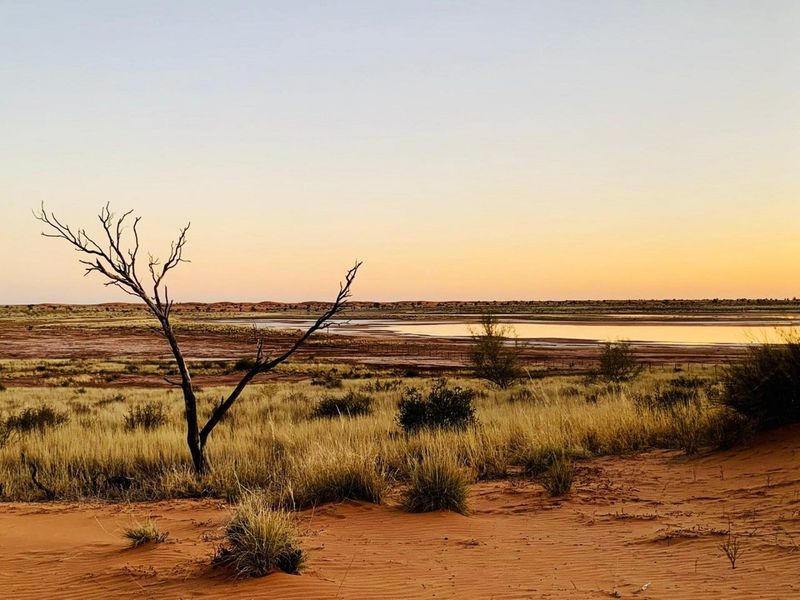 A scenic view of the expansive rural landscape featuring natural vegetation, sandy terrain, and a distant water body at sunset.