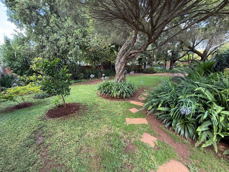 Oh, What a Lot I Got! - Photo 3