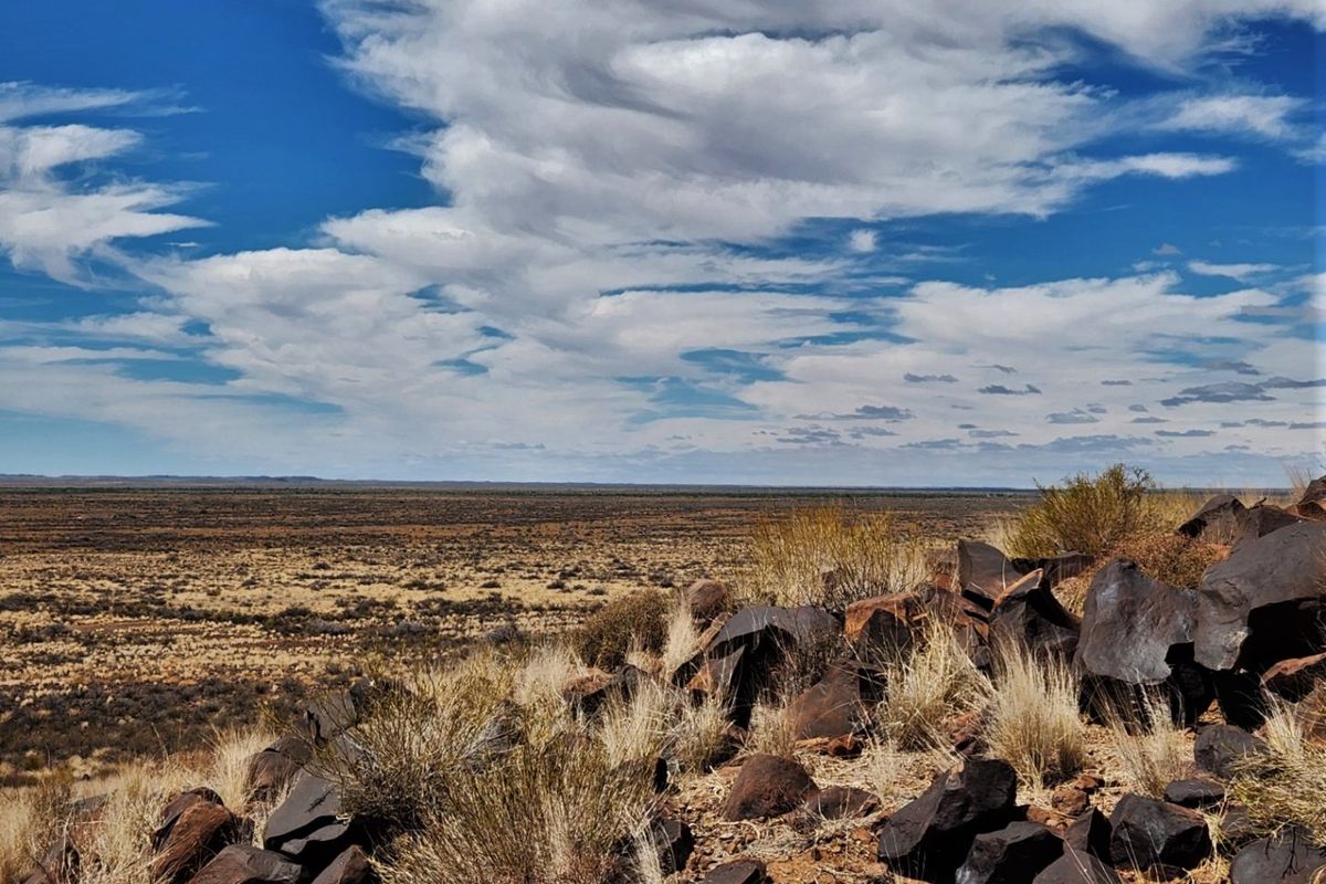 Boesmanland farm for sale - Photo 2