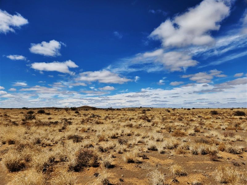 Boesmanland farm for sale - Photo 9