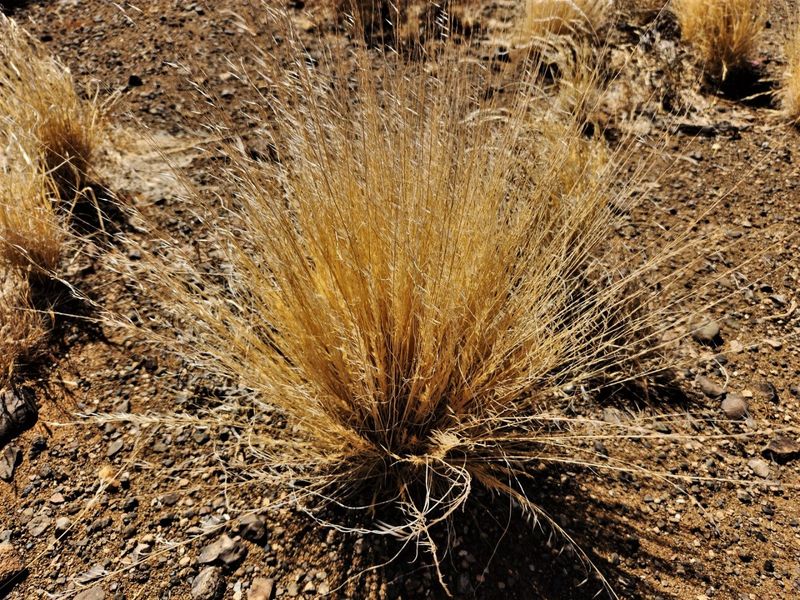 Boesmanland farm for sale - Photo 5