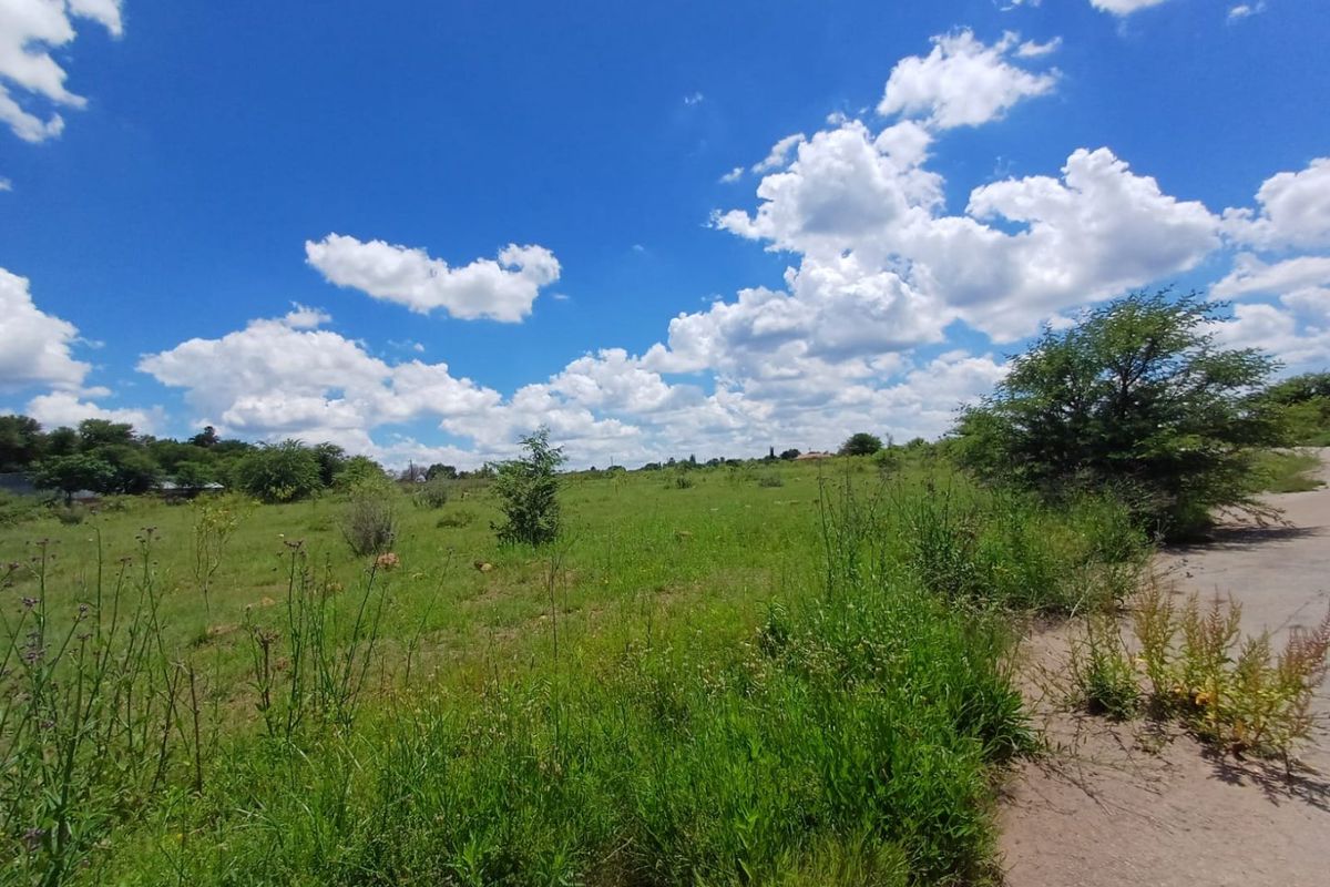 A wide-angle view of a vacant residential plot featuring natural grassland and native vegetation, bordering a paved road.