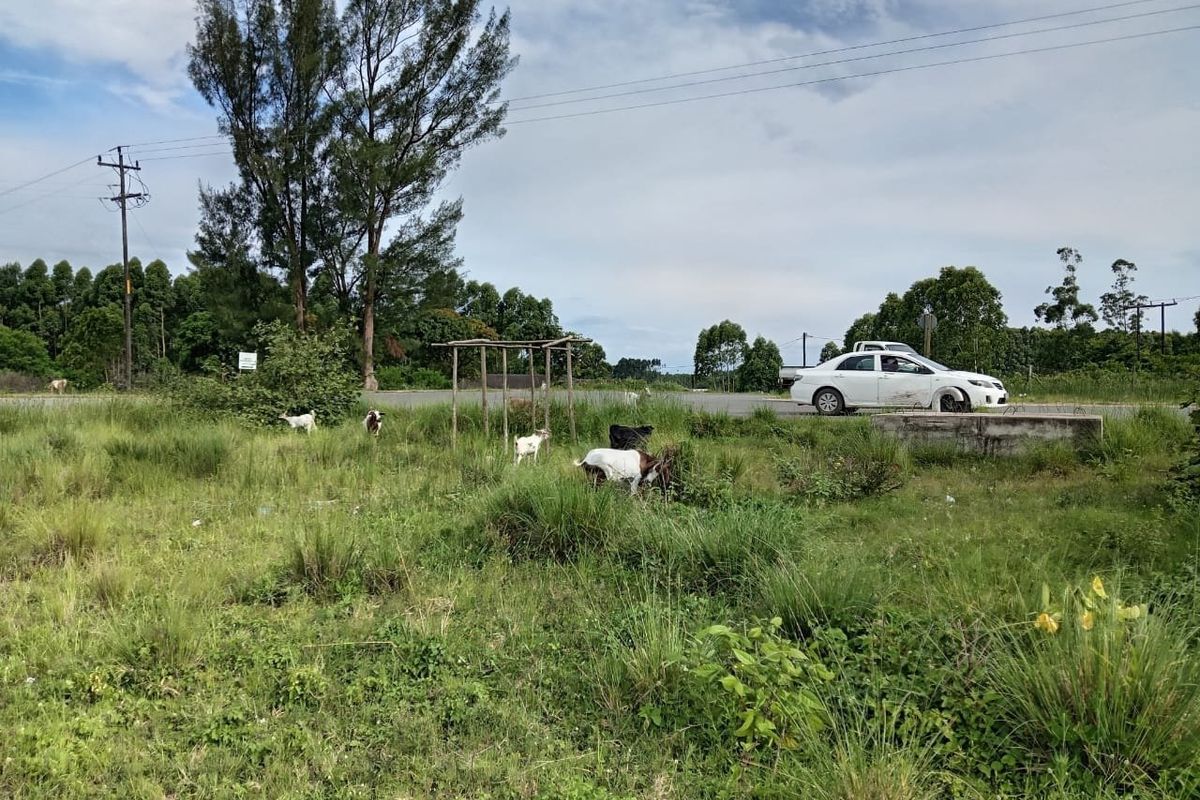 0 Bed Vacant Land in Esikhawini for Sale - Photo 3