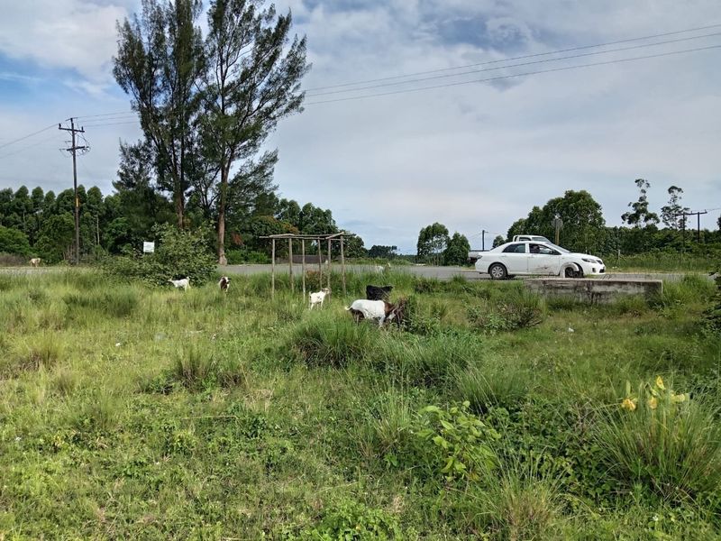 0 Bed Vacant Land in Esikhawini for Sale - Photo 3