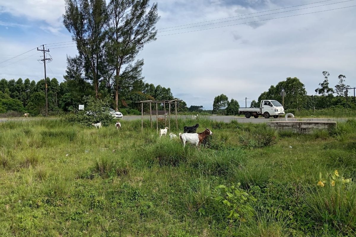 0 Bed Vacant Land in Esikhawini for Sale - Photo 4