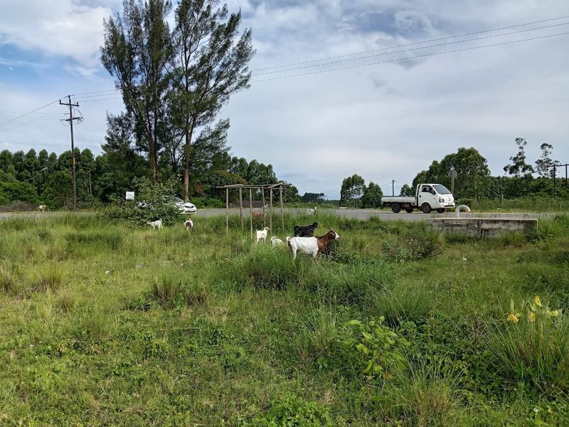 0 Bed Vacant Land in Esikhawini for Sale - Photo 7