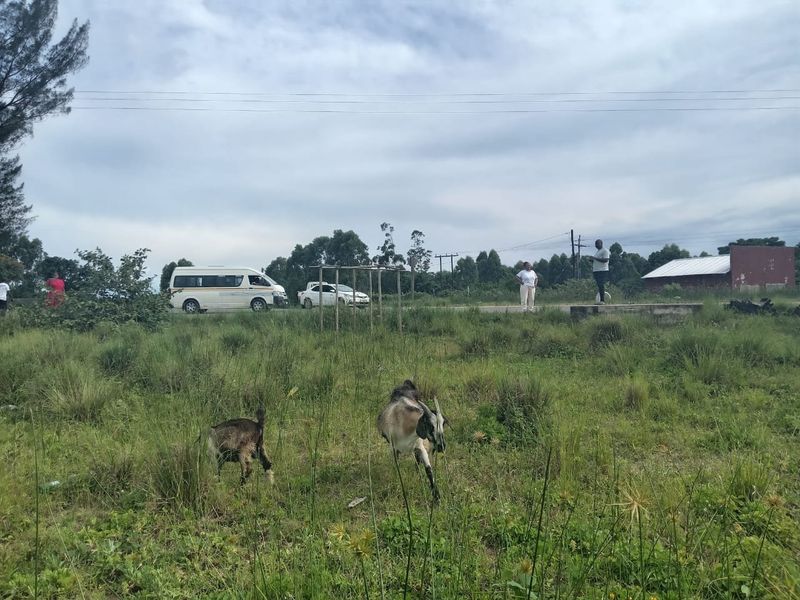 0 Bed Vacant Land in Esikhawini for Sale - Photo 6