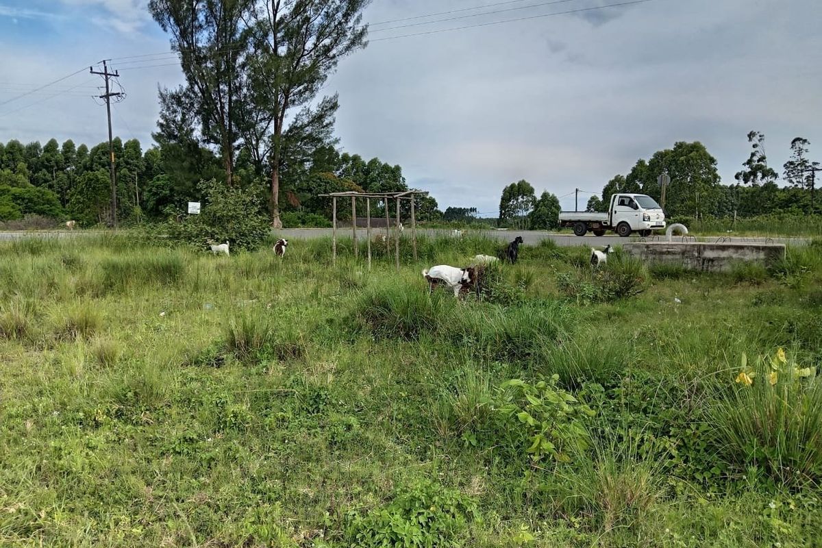 0 Bed Vacant Land in Esikhawini for Sale - Photo 2