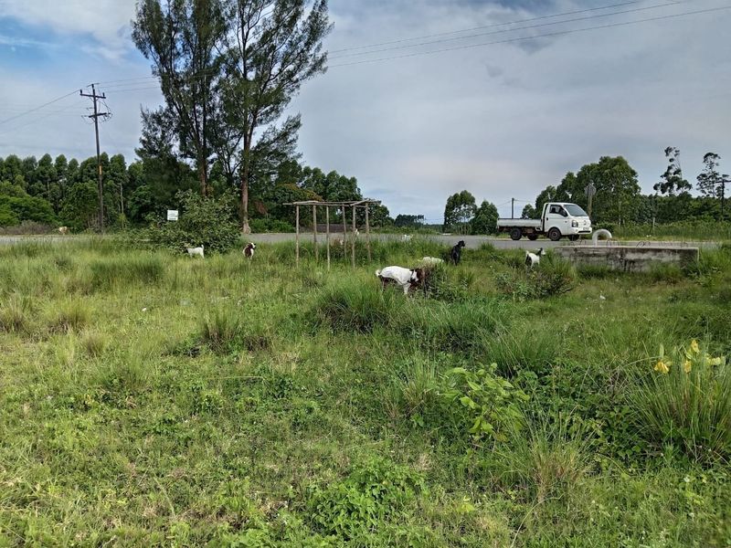 0 Bed Vacant Land in Esikhawini for Sale - Photo 2