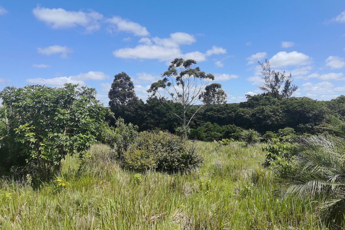 0 Bed Vacant Land in Mzingazi for Sale - Photo 3