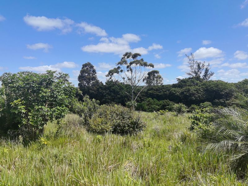 0 Bed Vacant Land in Mzingazi for Sale - Photo 3