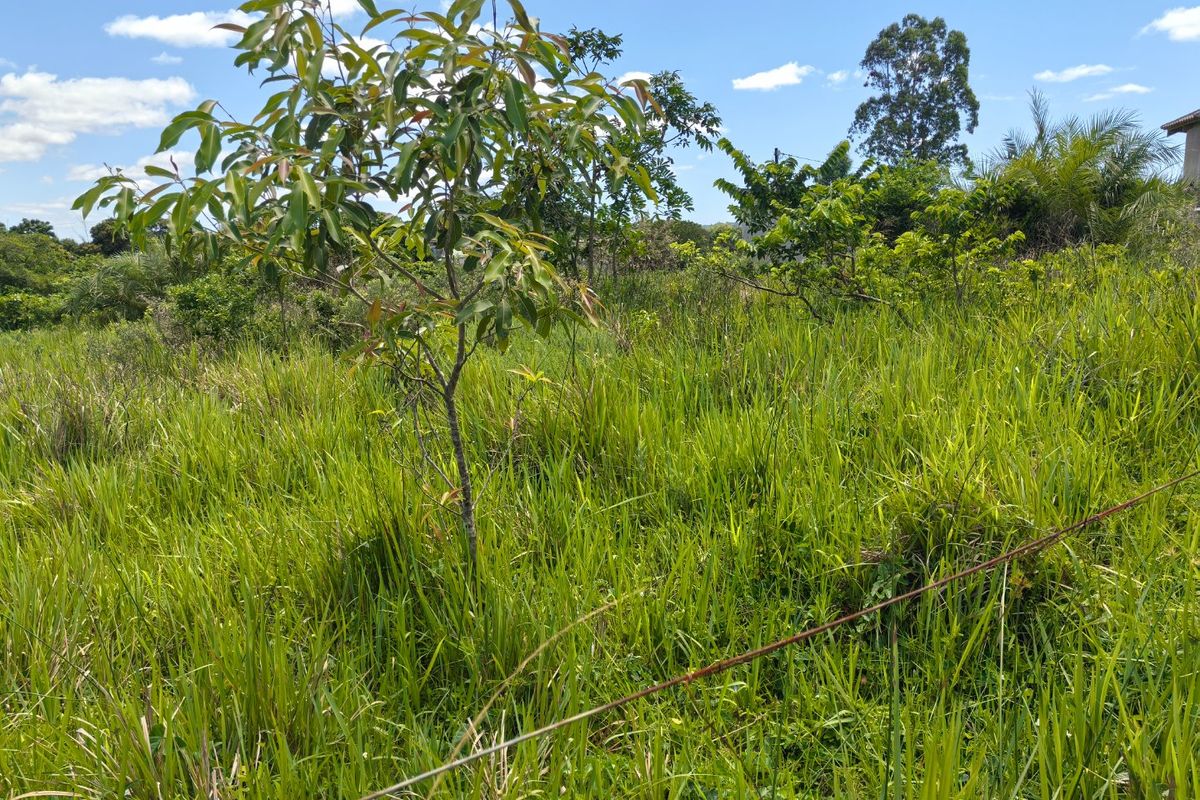 0 Bed Vacant Land in Mzingazi for Sale - Photo 2