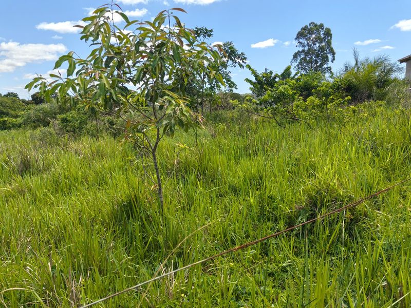 0 Bed Vacant Land in Mzingazi for Sale - Photo 9