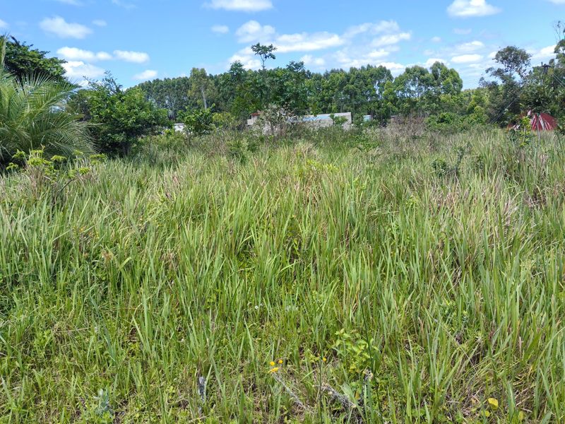 0 Bed Vacant Land in Mzingazi for Sale - Photo 8