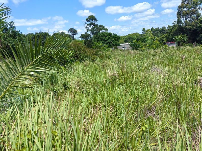 0 Bed Vacant Land in Mzingazi for Sale - Photo 7