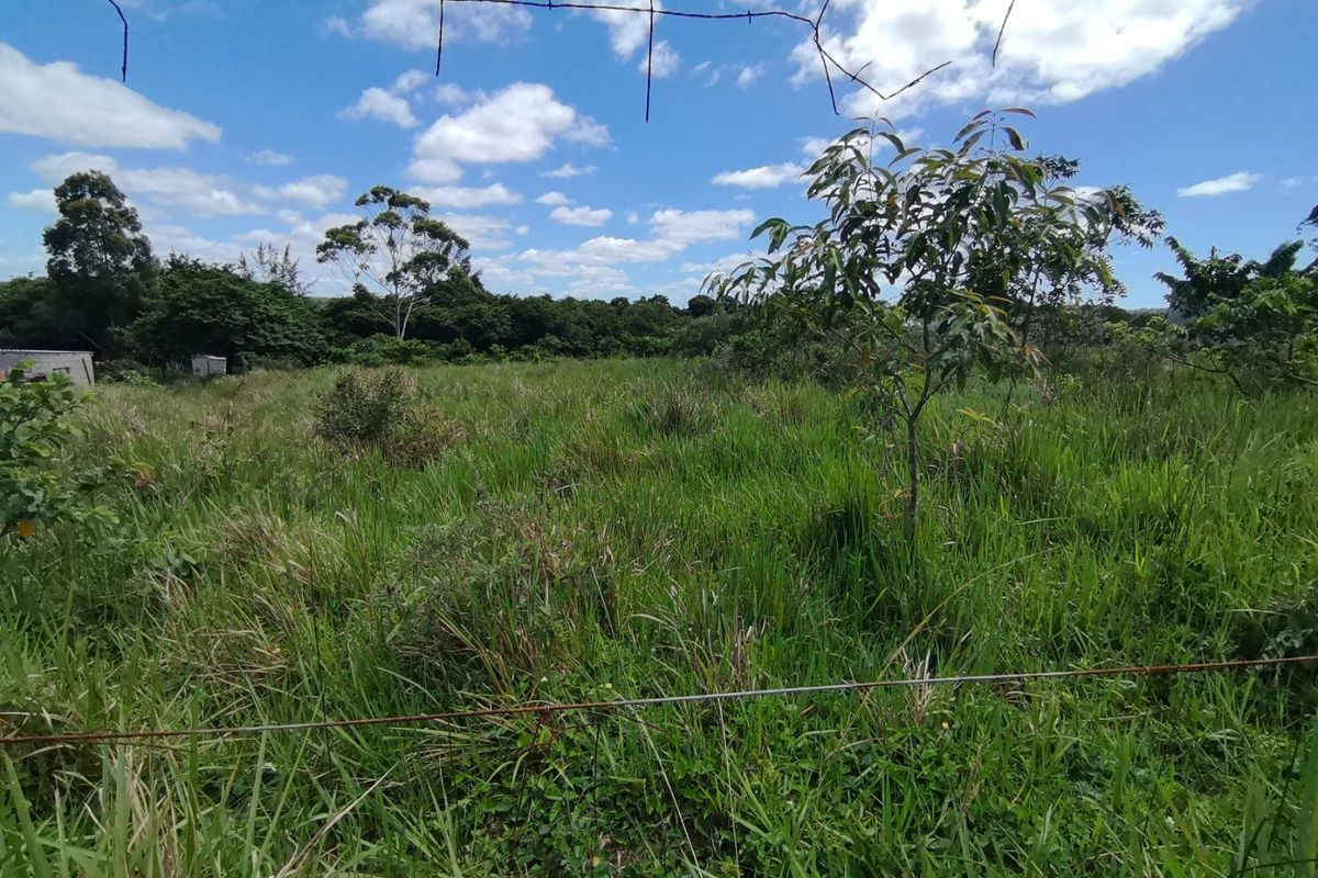 0 Bed Vacant Land in Mzingazi for Sale - Photo 5
