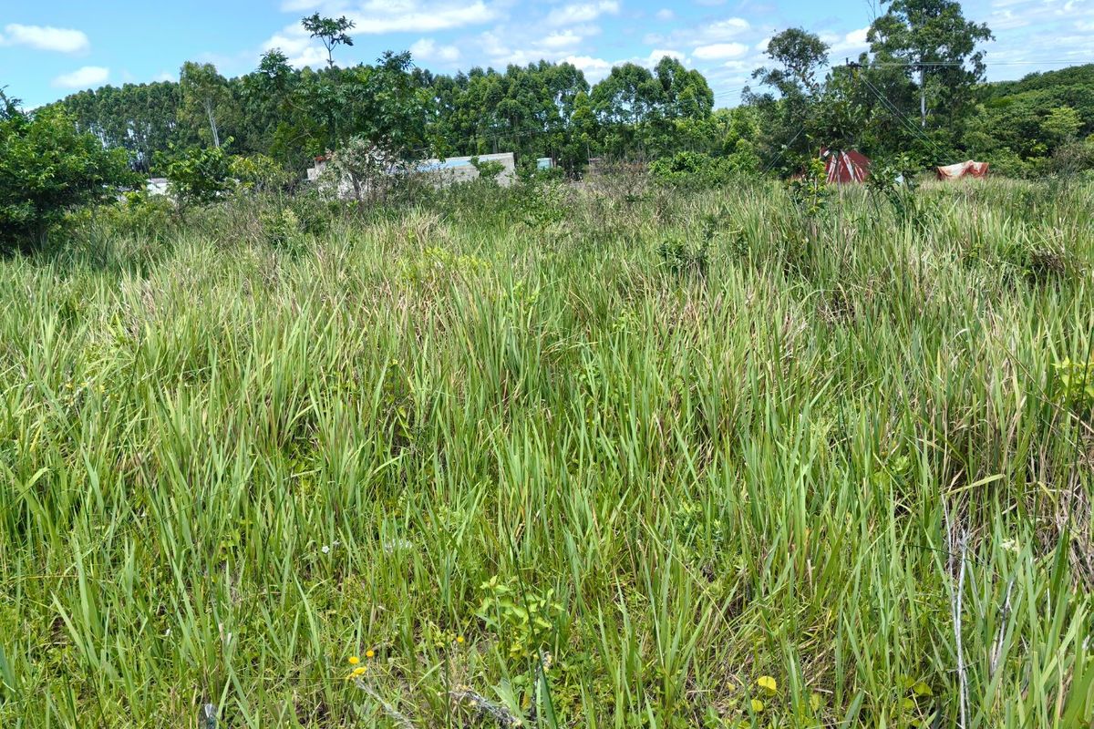 0 Bed Vacant Land in Mzingazi for Sale - Photo 4