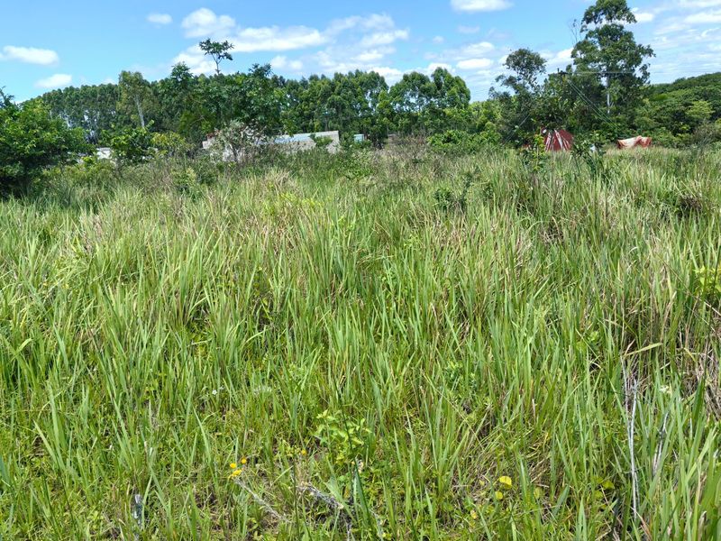 0 Bed Vacant Land in Mzingazi for Sale - Photo 4
