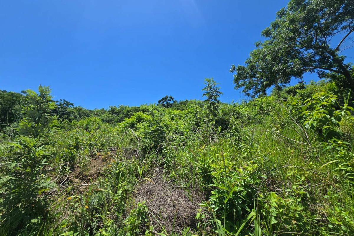 Plot & Plan Development Opportunity in Belgate, Tongaat - Photo 2